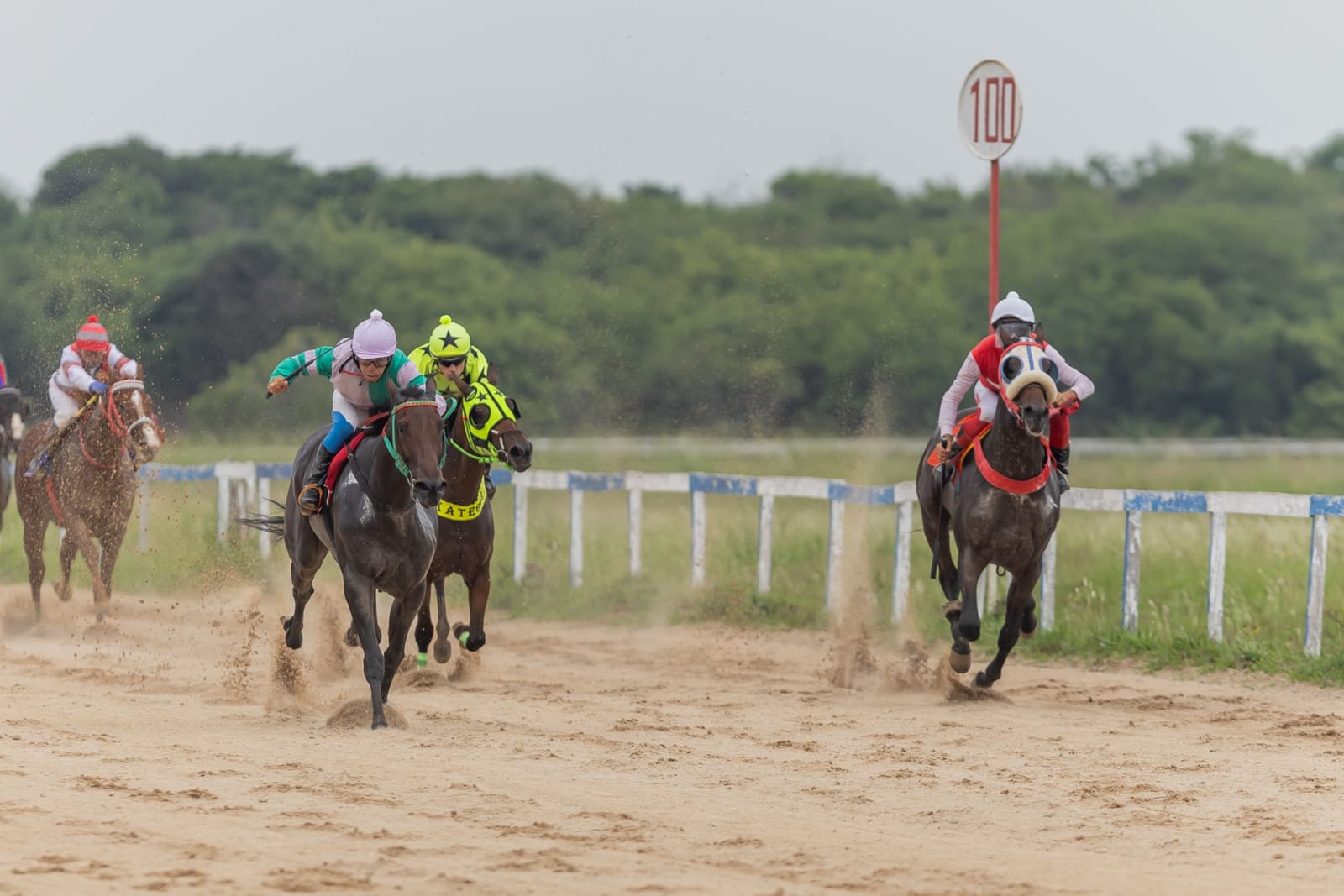Dois cavalos disputam a reta final na raia de areia do Hipódromo da Tablada