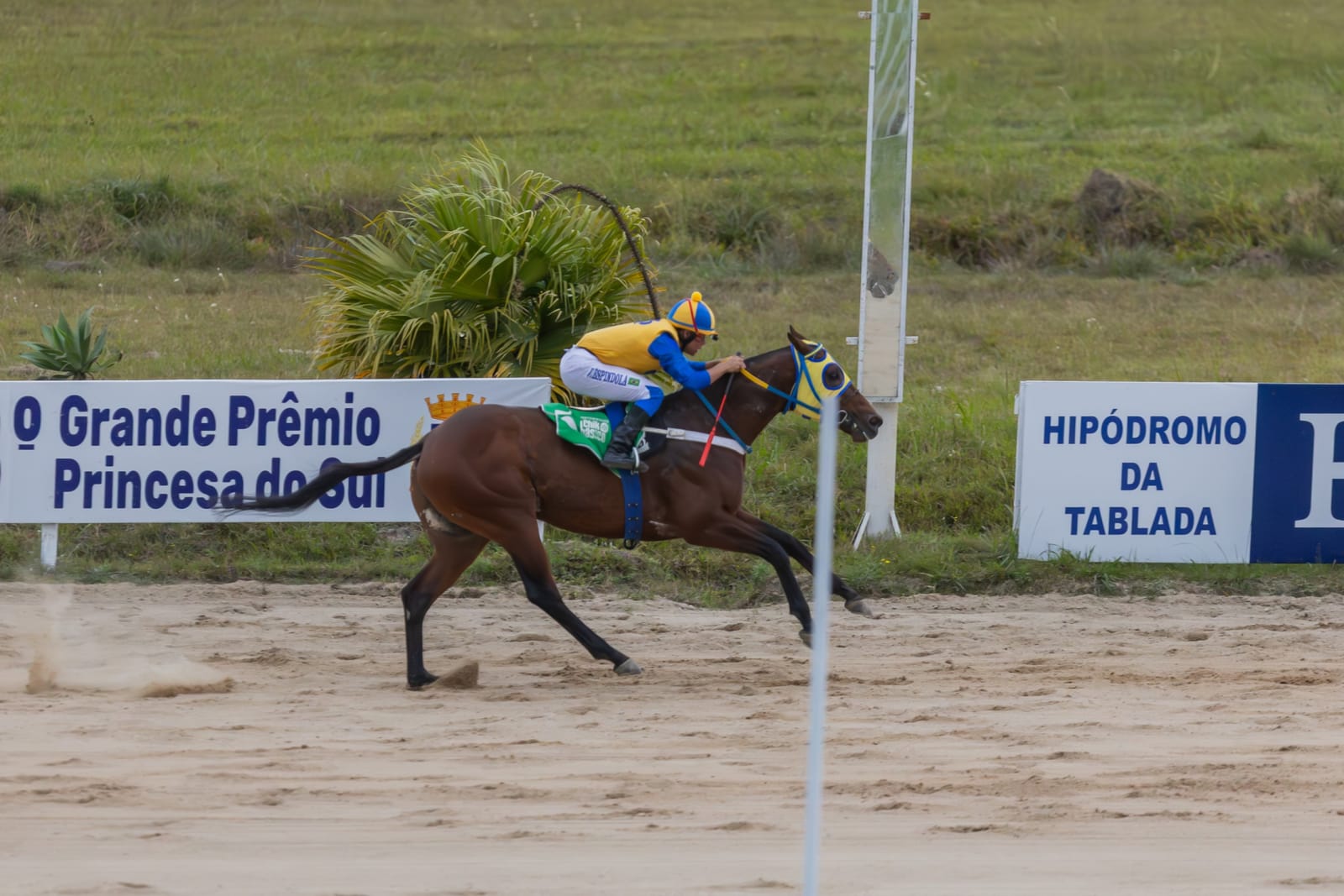 Cavalo e jóquei cruzam a reta diante das placas do Grande Prêmio Princesa do Sul e do Hipódromo da Tablada